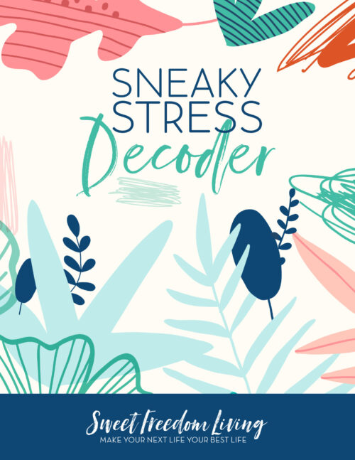 Sneaky Stress Decoder Offer